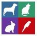 Pet Street Mall Reviews (1)